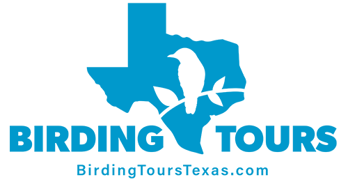 Birding Tours Texas logo