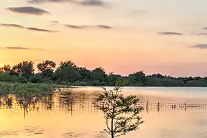 Devine Lake