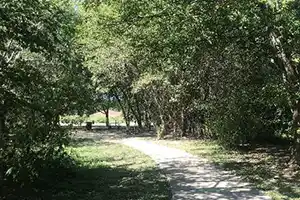 Lake Creek Trail