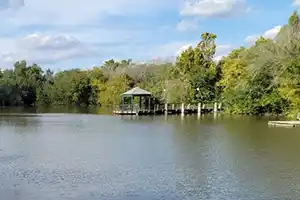 Mill's Pond