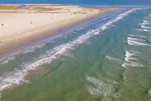 Appfel Park - East Beach in Gavleston, Texas