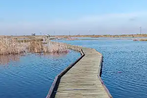 Sea Rim State Park in Jefferson County, Texas