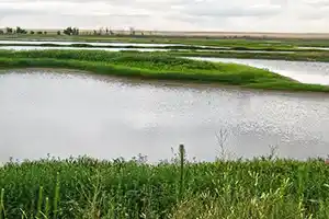 Buffalo Lake National Wildlife Refuge