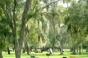 Anzalduas Park