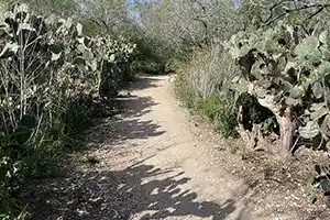 Arroyo Colorado World Birding Center