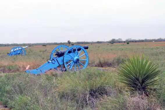 Palo Alto Battlefield National Historical Park