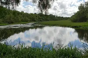 Resaca De La Palma State Park
