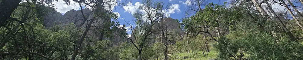 Davis Mountains