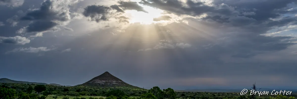 Birding in West Texas and Big Bend