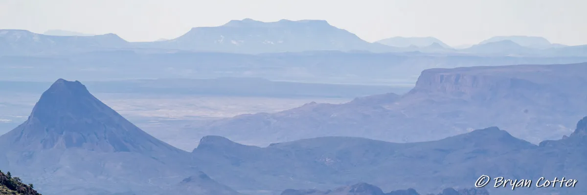 Birding Big Bend National Park