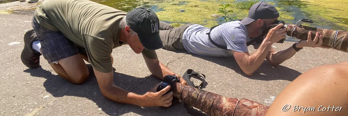 Texas bird photography tours